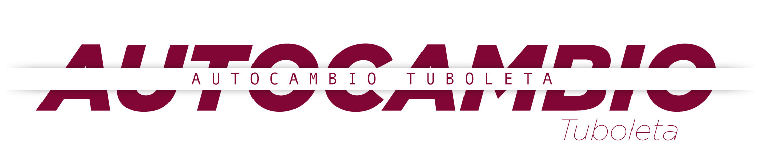Vista del proyecto Autocambios