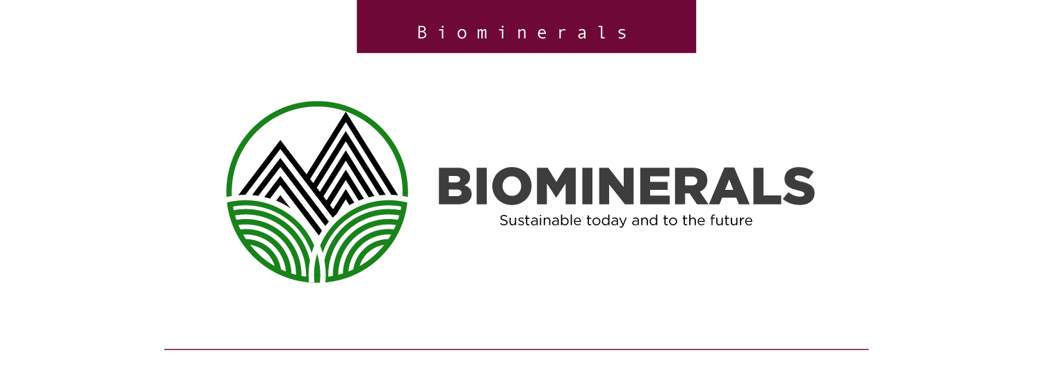 Vista del proyecto Biominerals
