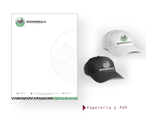 Aplicación 4 del proyecto Biominerals