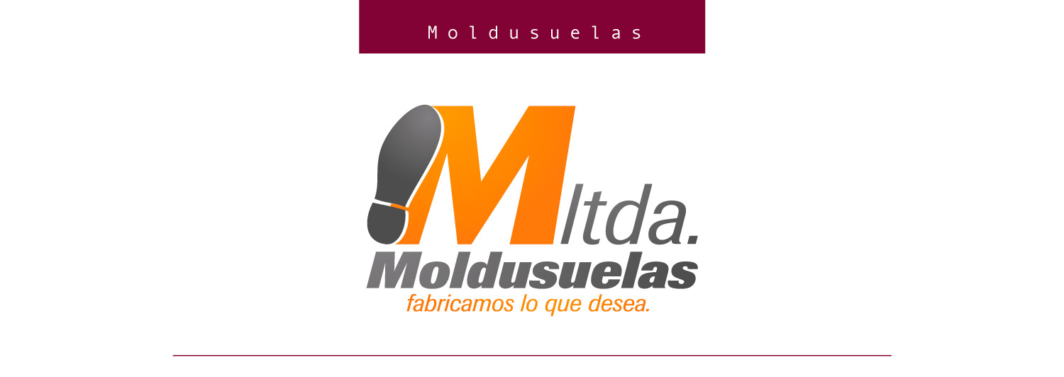 Vista del proyecto Moldusuelas