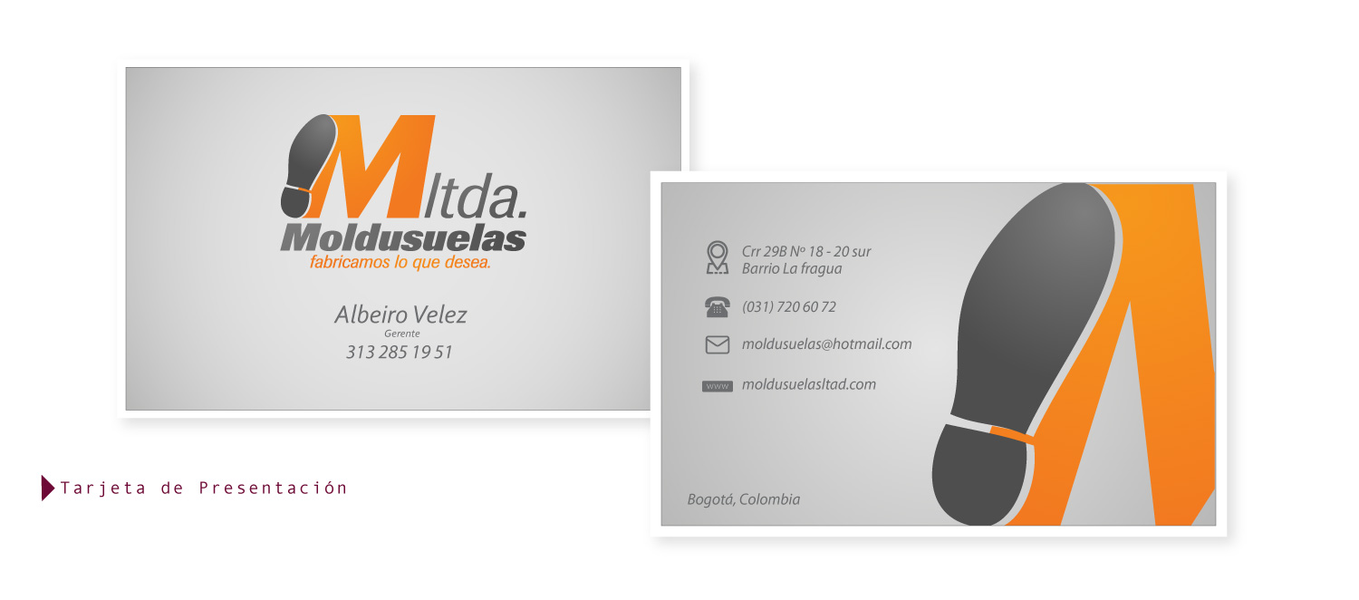 Aplicación 4 del proyecto Moldusuelas
