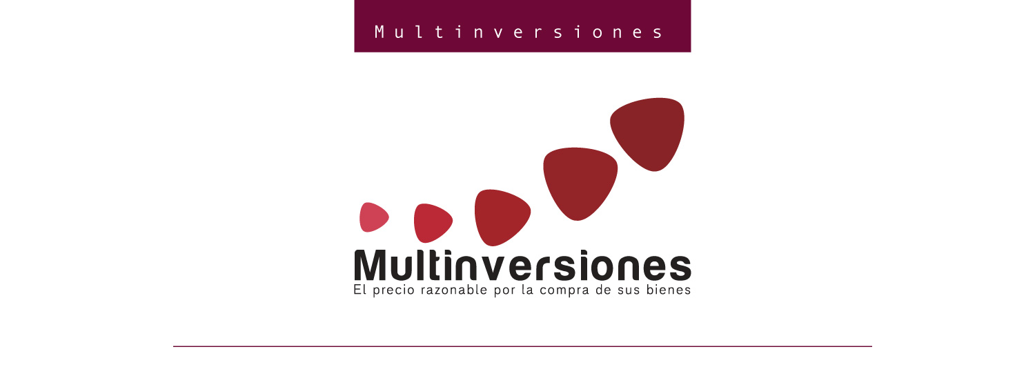 Vista del proyecto Multinversiones